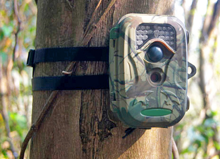Wild Protection Camera